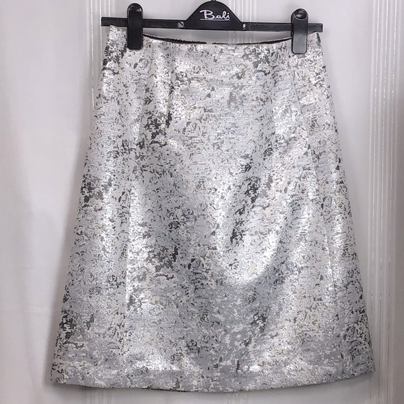 Ellen Tracy Dresses & Skirts - 🪞Ellen Tracy Silver Metallic A-Line Knee Length Lined Back Zip